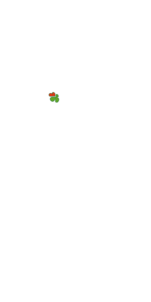 Jogos Santa Casa