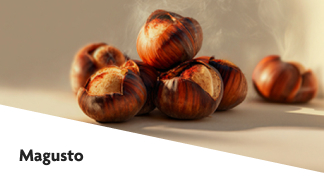 Magusto 